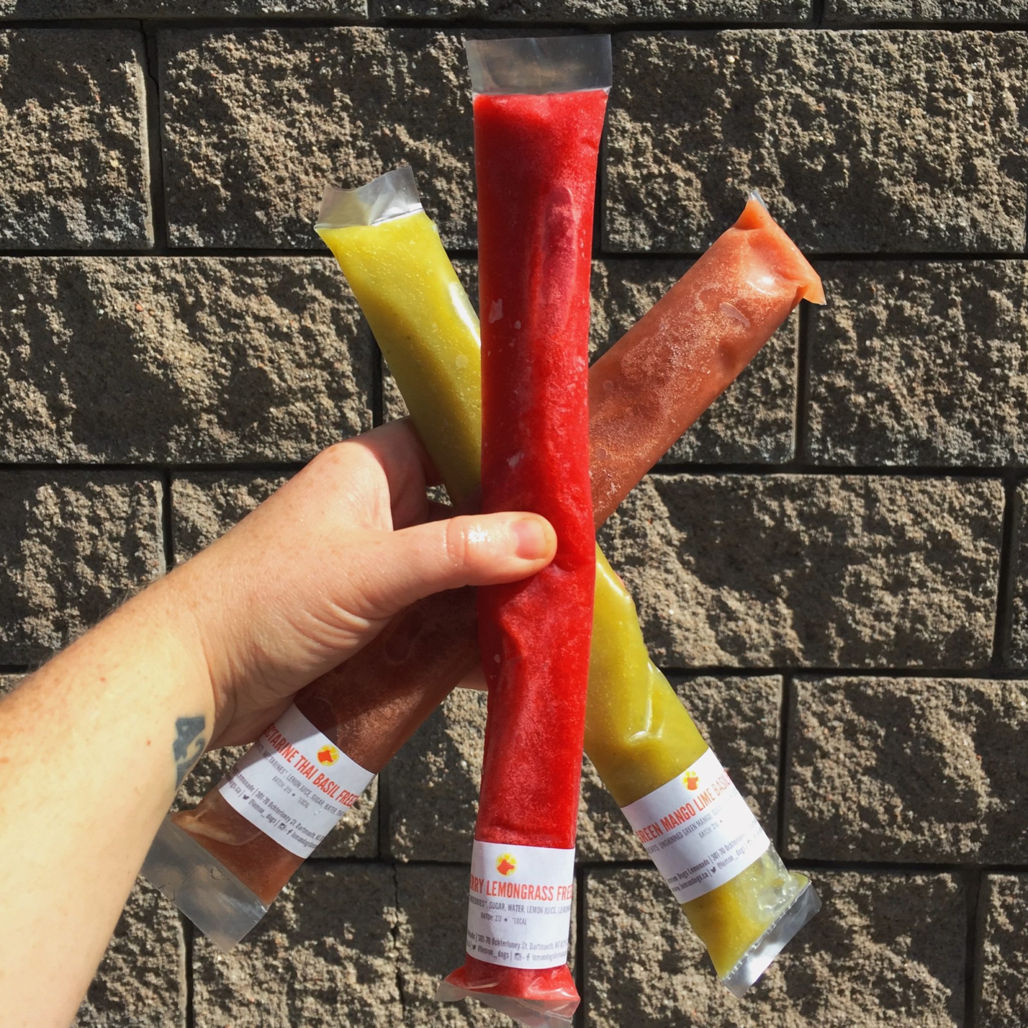 12 Pack of Ice Pops & Freezies Lemon Dogs Tacos and Lemonade